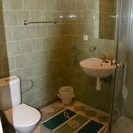 U Kopyta Guest house *