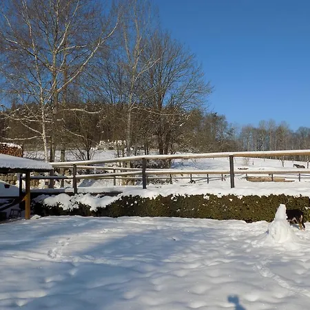 U Kopyta بيت ضيافة