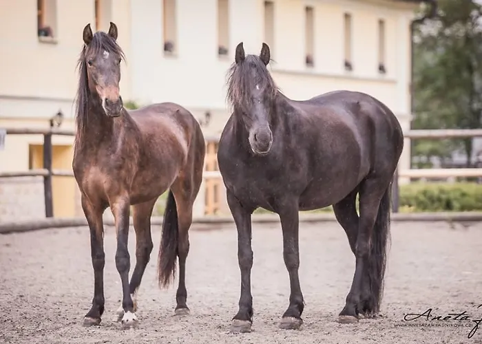 U Kopyta 게스트하우스 Dubá