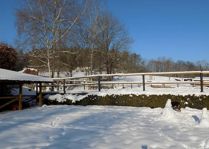 U Kopyta 게스트하우스